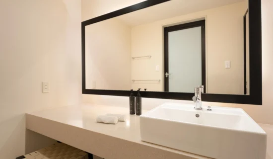 스탠다드 주니어 스위트 포레스트뷰