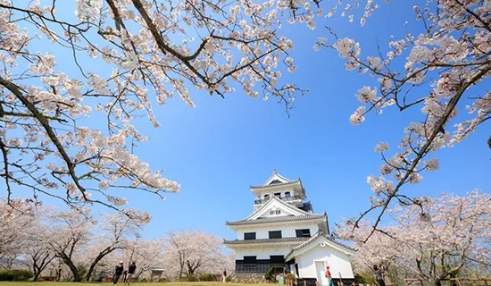 照片畫廊圖像|南房總美爵溫泉度假酒店