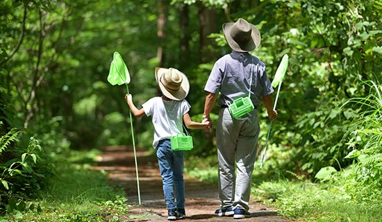 キッズレンジャー探検